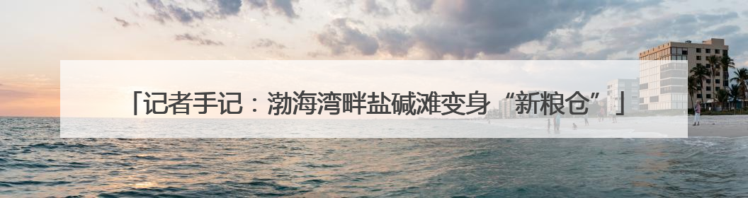 记者手记：渤海湾畔盐碱滩变身“新粮仓”